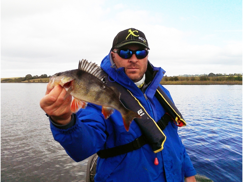 Fox Rage Warrior Mini Fry - O naluca de bronz la CM de pescuit la spinning din barca, editia Irlanda 2013