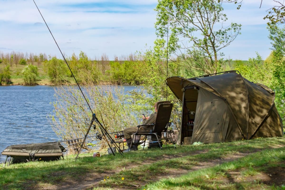 Pescuitul la crap vara: momeli, locuri Ghid complet Big Fish