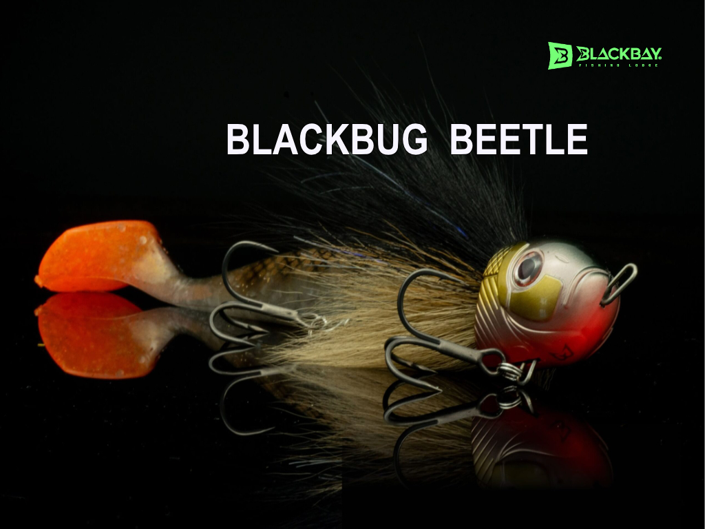 Blackbay BlackBug Beetle – un alt hibrid spectaculos