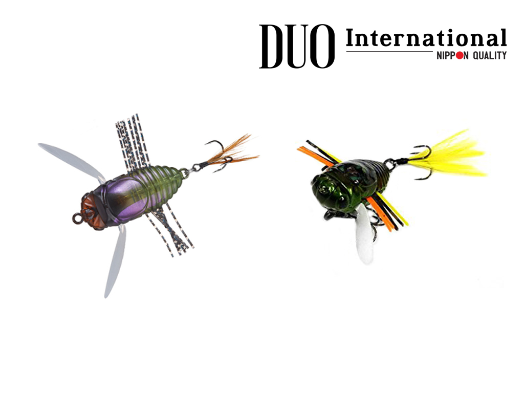 Duo Realis Koshinmushi si Dekashinmushi – doua noi insecte tari