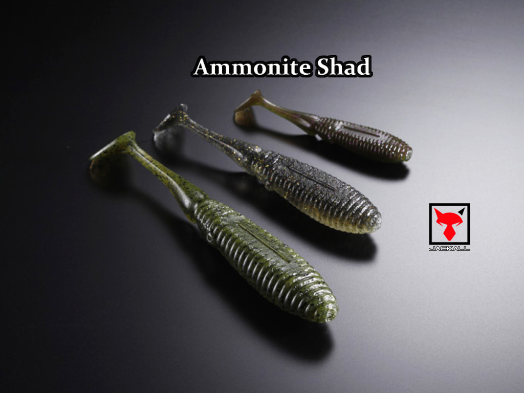 Jackall Ammonite Shad – un shad ceva mai special