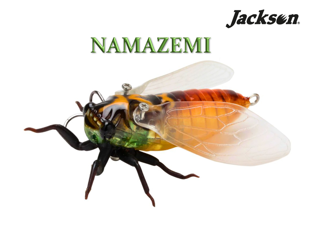 Jackson Namazemi – insecta cu ancora JDM