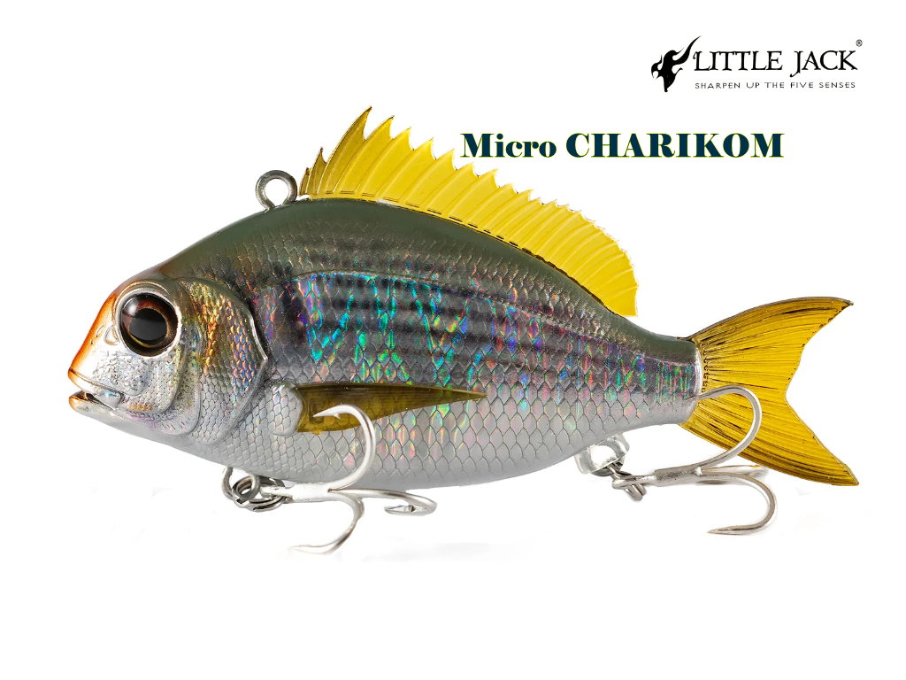 Little Jack Micro Charikom – un micro mai mult decat simpatic