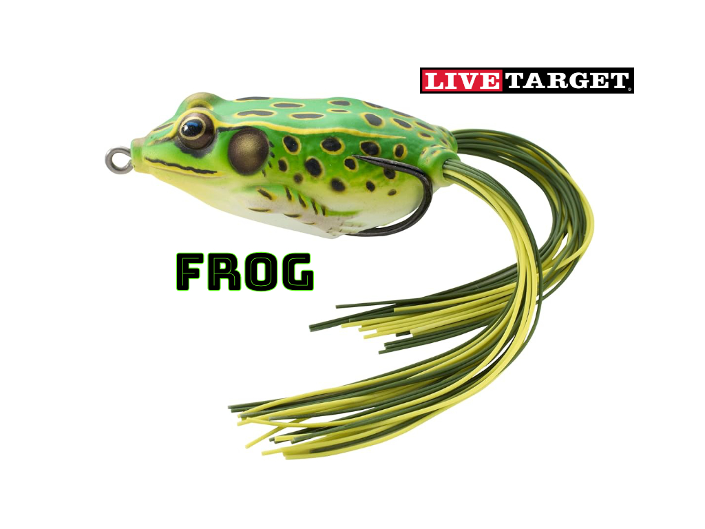 Live Target Frog – o broasca premiata la ICAST 