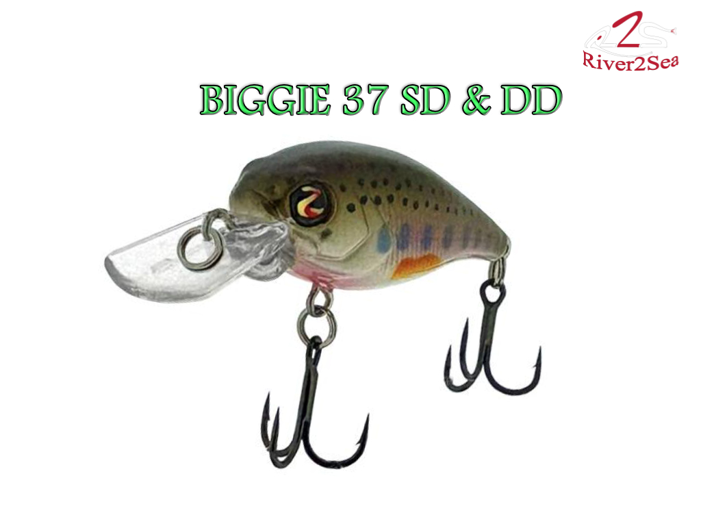River2Sea Biggie 37 DD & SD – rattling cu barbeta patrata